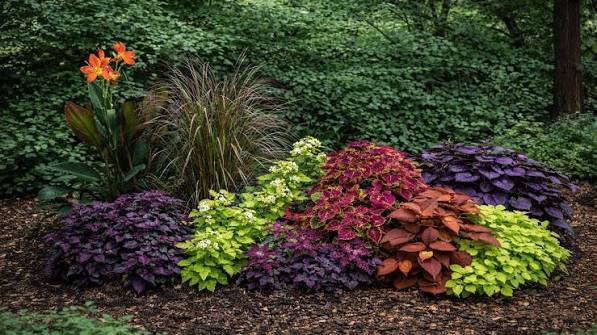 images (14)