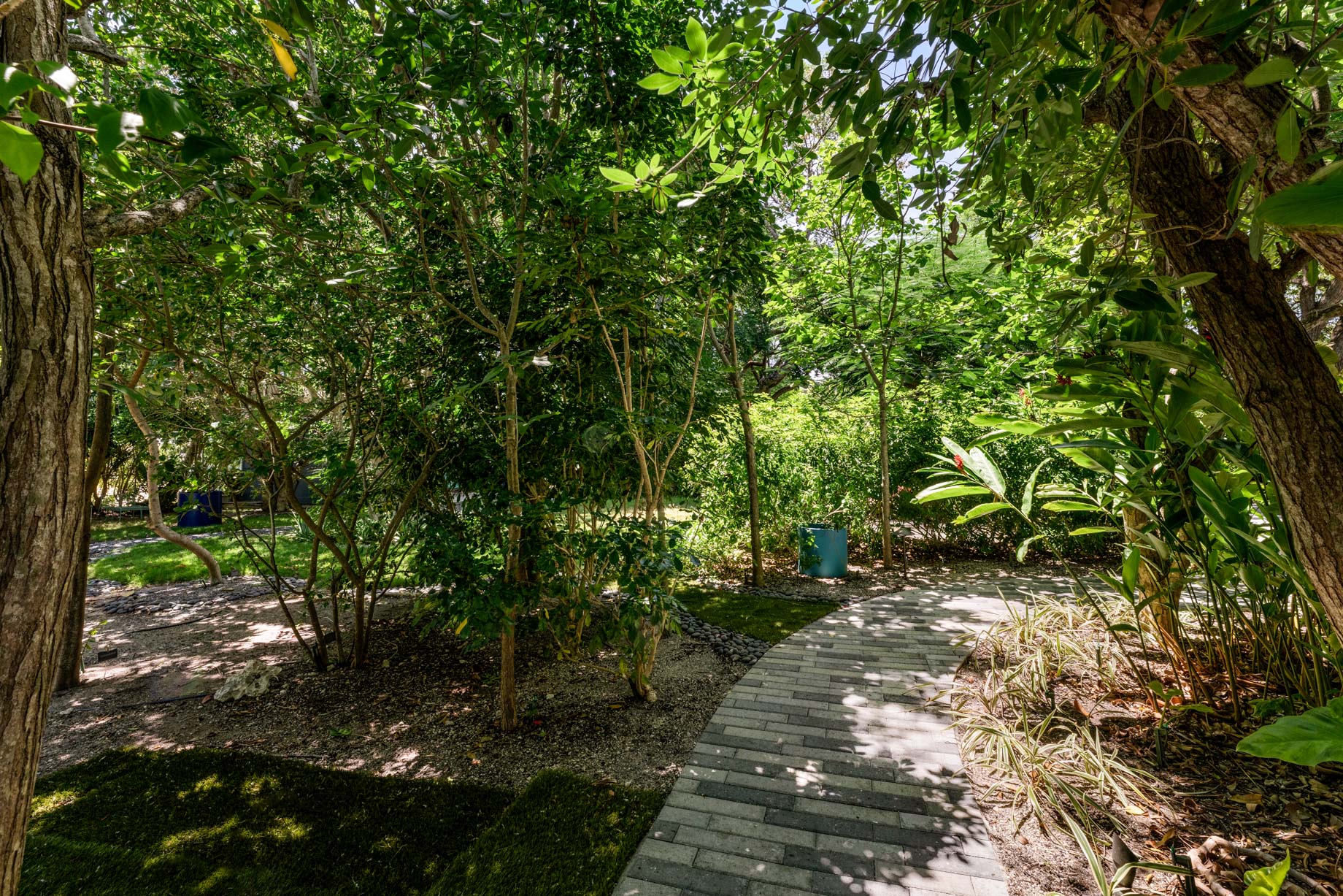 19 Avacado St, Upper Matecumbe Key, FL, USA – 5