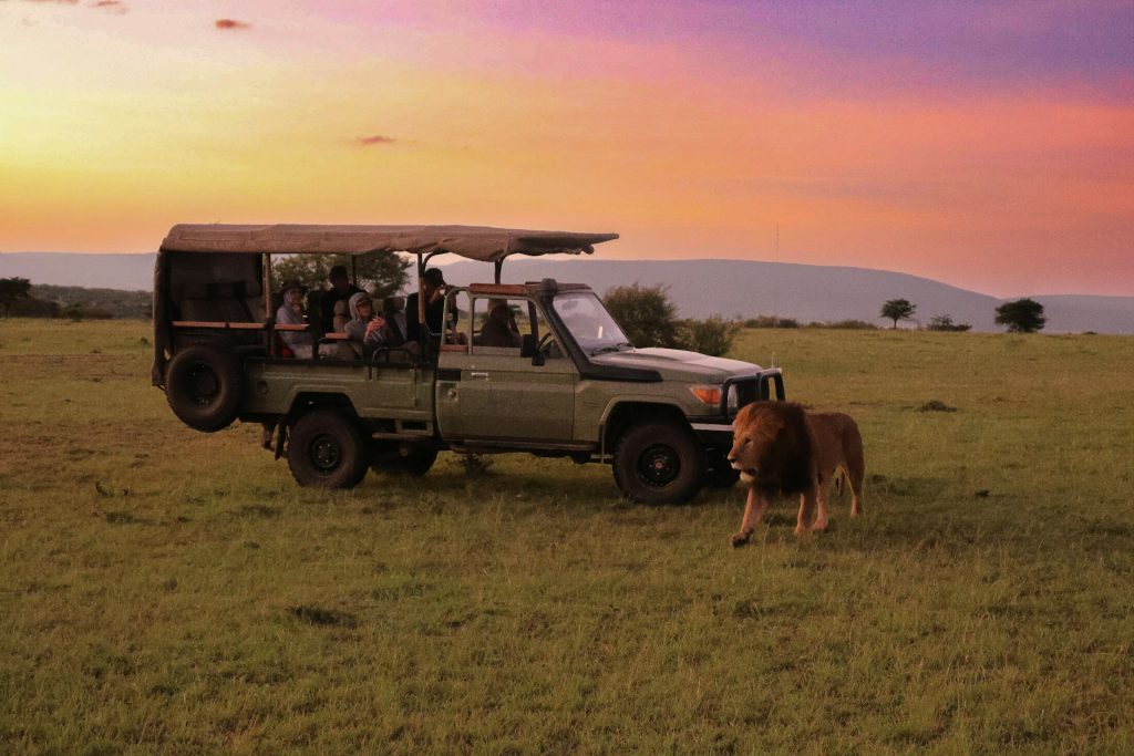 Kenya Safari Tour