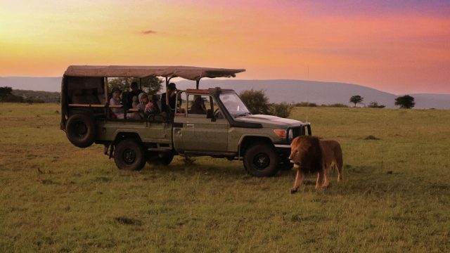 Kenya Safari Tour