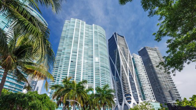 Modern luxury condominium towers rising above palm trees in Miami, Florida, under a clear blue sky.