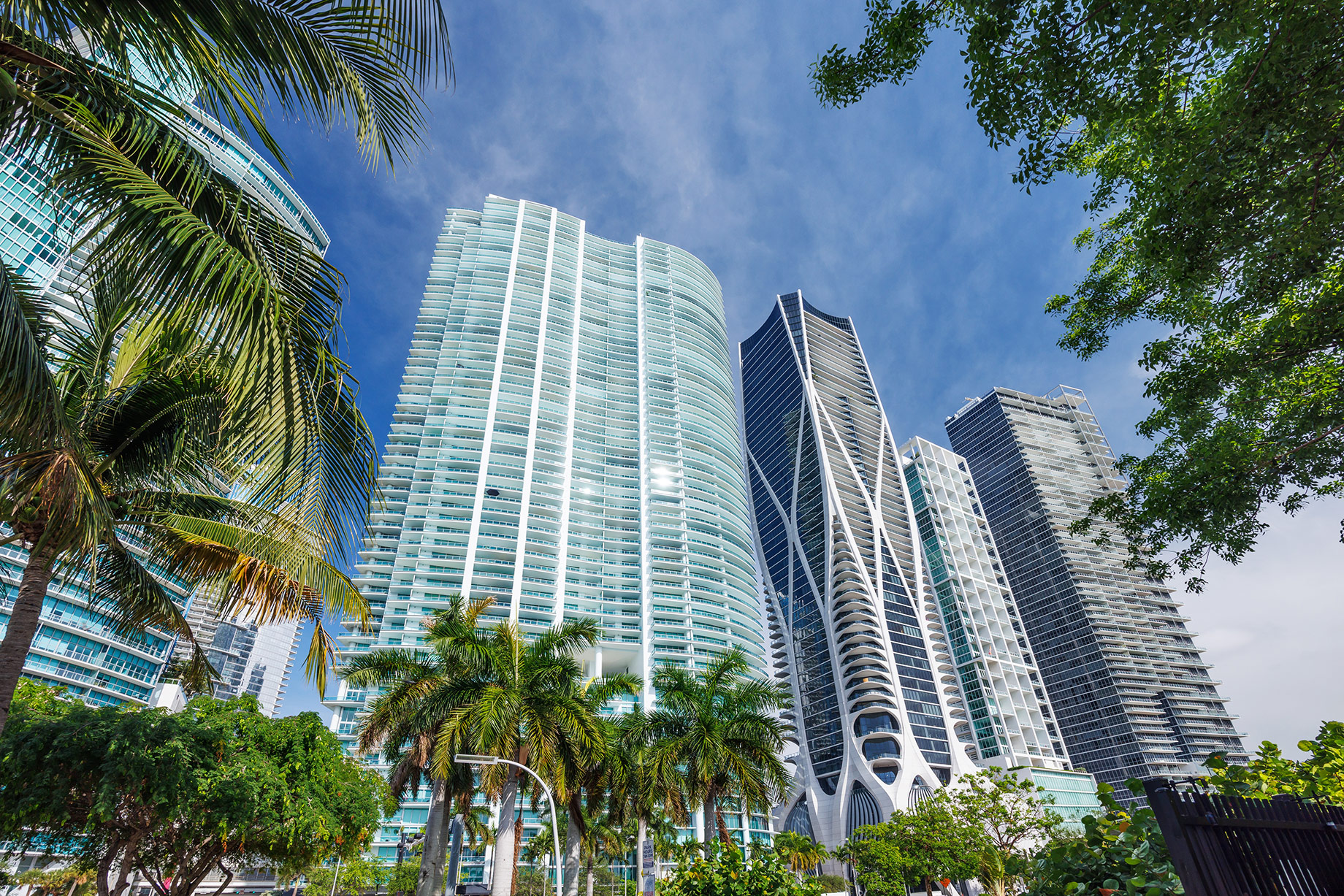 Modern luxury condominium towers rising above palm trees in Miami, Florida, under a clear blue sky.