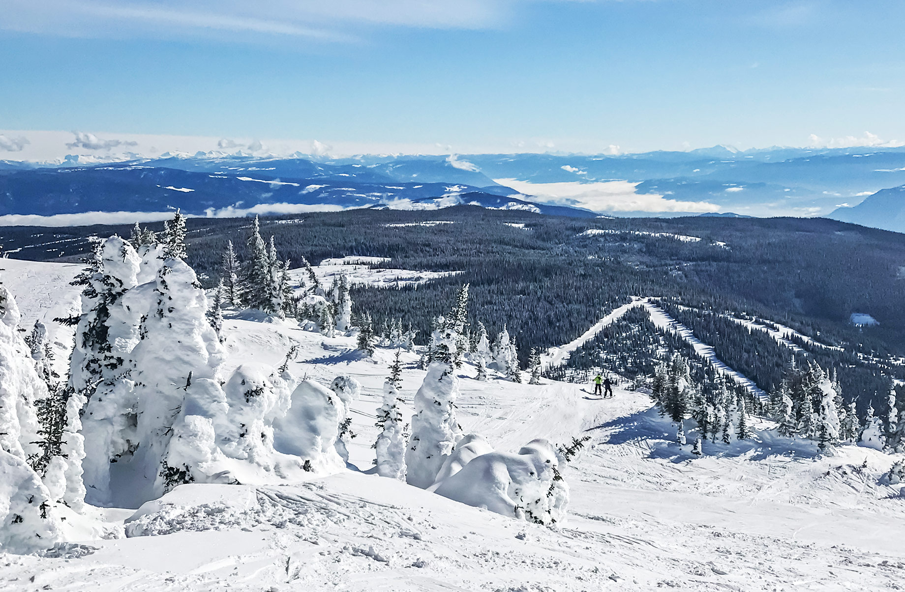 Snow-laden evergreen trees beside a ski run overlooking the mountains around Sun Peaks, British Columbia.