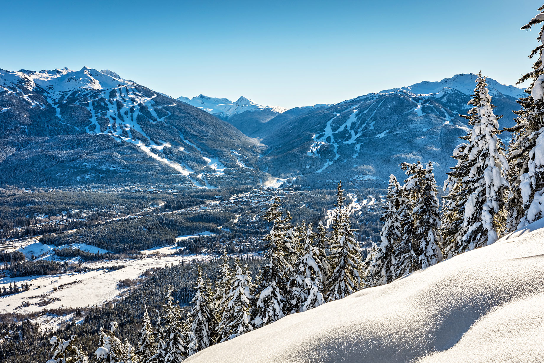 Snow-covered Whistler Valley between Whistler and Blackcomb mountains beneath a clear blue sky.