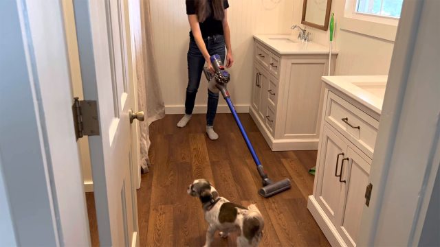 Woman vacuuming a wood-toned bathroom floor beside white vanity cabinets, with a small dog standing nearby.