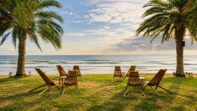 Patchy beachfront lawn with wooden lounge chairs beneath palm trees overlooking the ocean.