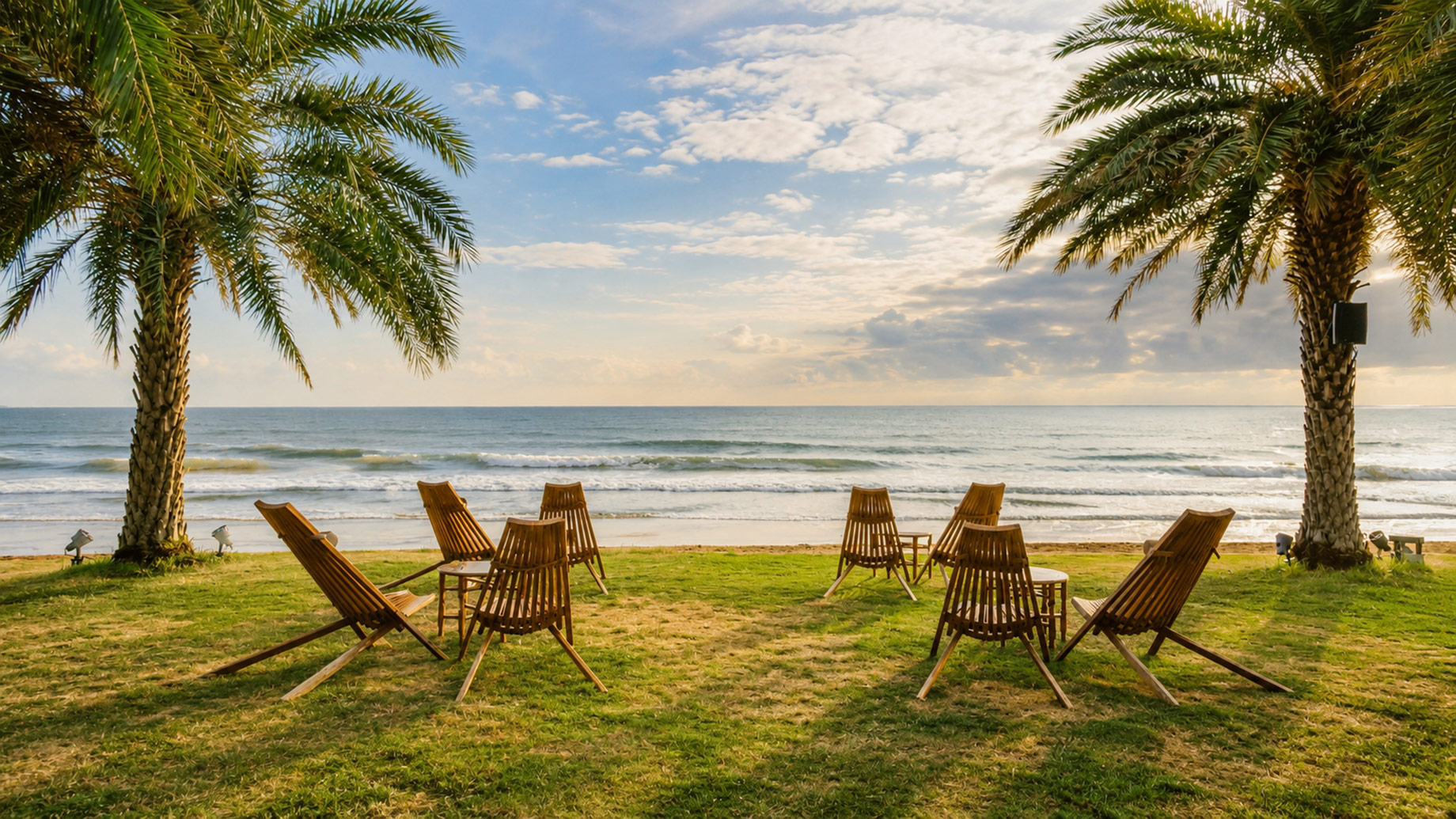 Patchy beachfront lawn with wooden lounge chairs beneath palm trees overlooking the ocean.