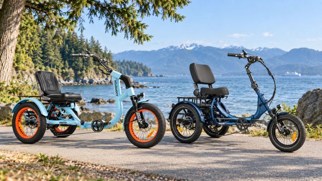 Freetan M-368X and Freetri E-361 electric trikes parked on a scenic coastal path with evergreen trees, open water, and mountains in the distance.