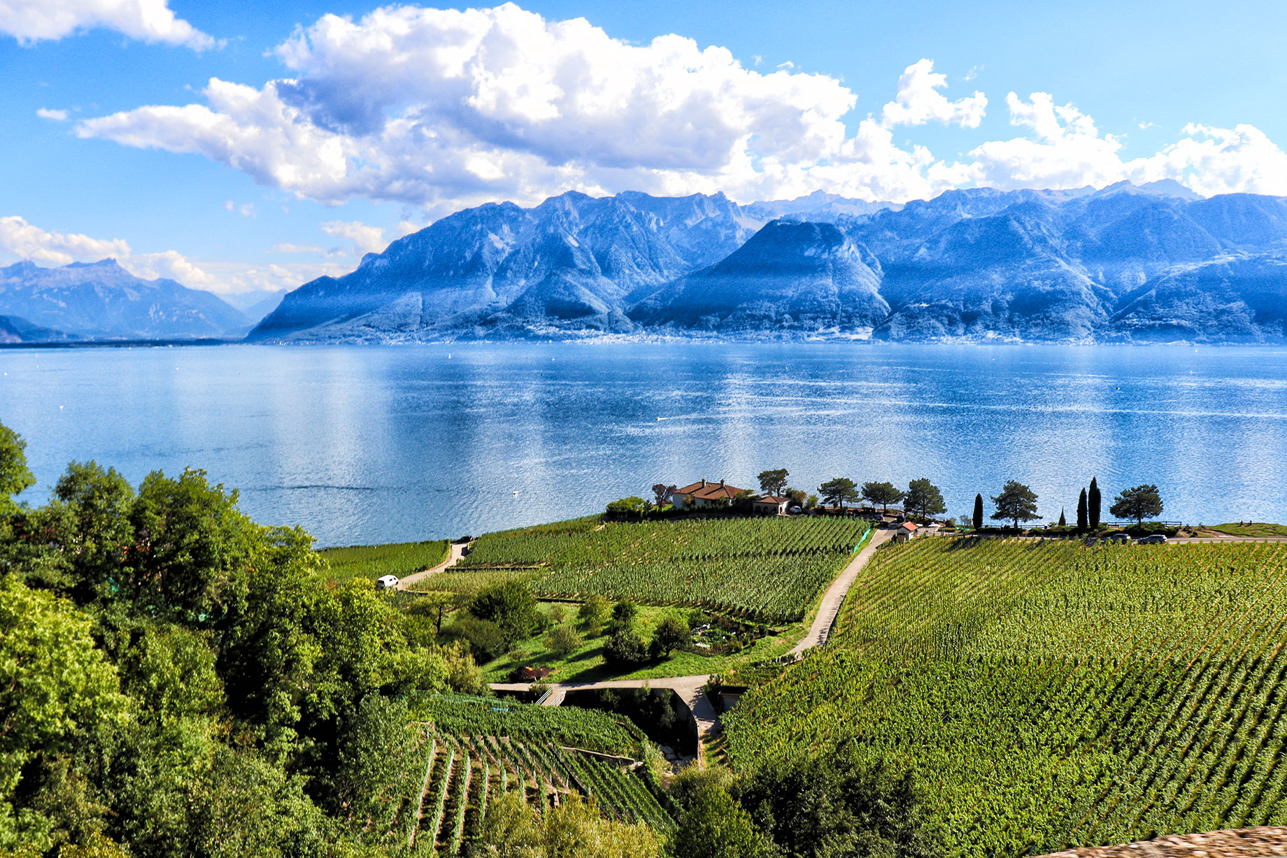 Terraced Lavaux vineyards near Chexbres overlooking Lake Geneva, with a red-roofed property and mountains across the water.