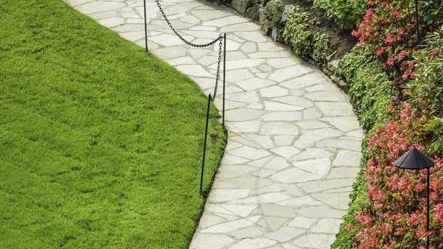 How to Achieve a Low-Maintenance Lawn That Impresses