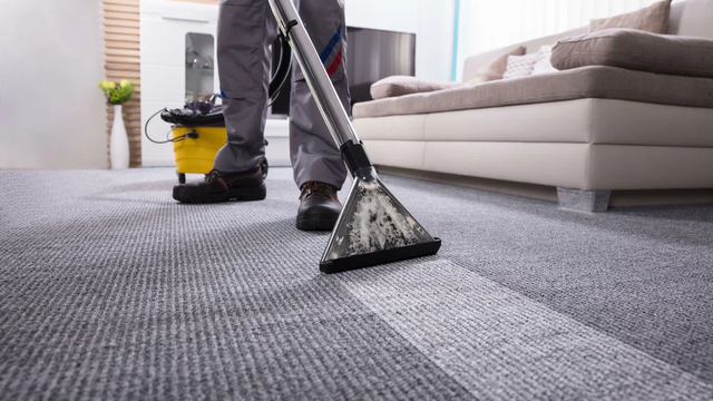 How Professional Carpet Cleaning Can Help Landlords Reduce Property Maintenance Costs