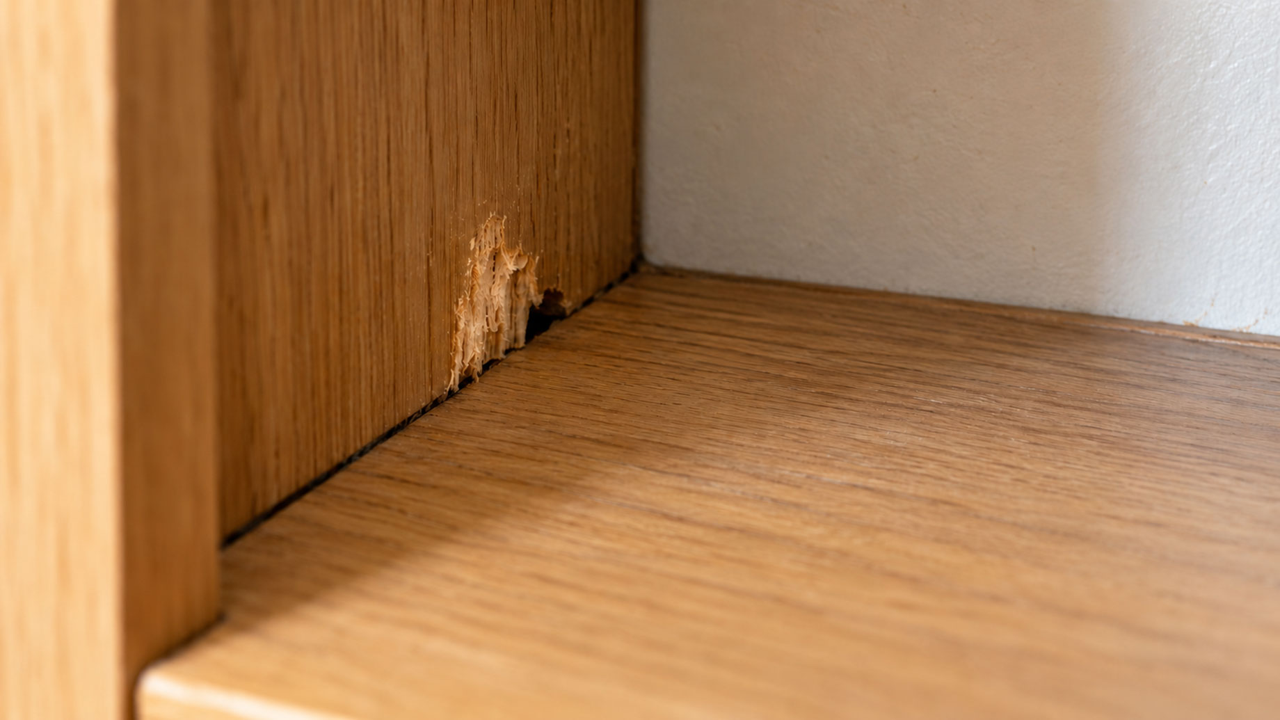 Close-up of gnawed wood and a small dark gap at the base of a wooden cupboard beside a pale wall.