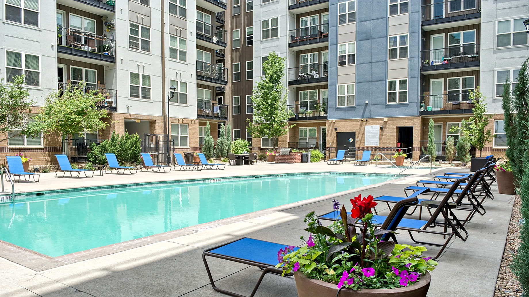 Outdoor swimming pool with blue lounge chairs, flowering planters and surrounding apartment balconies at Windsor at DTC.